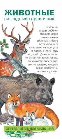 Наглядный справочник