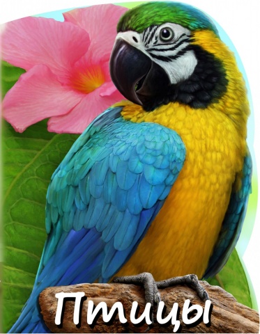 Лифенко Ольга Владимировна