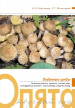 Грибы (обложка)