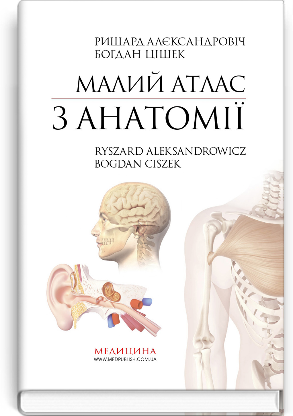 Малий атлас з анатомії: 6-е видання / Ришард Алєксандровіч, Богдан Цішек
