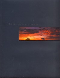 Иванов Александр Юрьевич