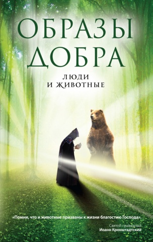 Религия. Рассказы о духовной жизни