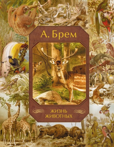 Брем(подарочное издание в футляре)