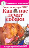 Агафонычев В.