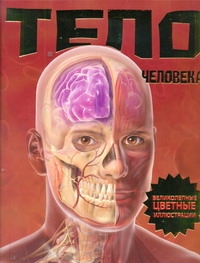 Калабрези Линда