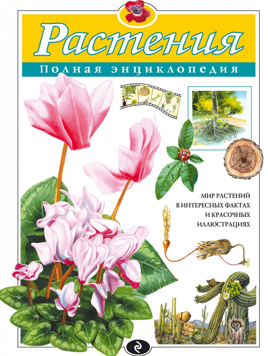 Школьник Юлия Константиновна