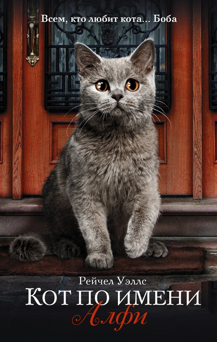 Уэллс Рейчел