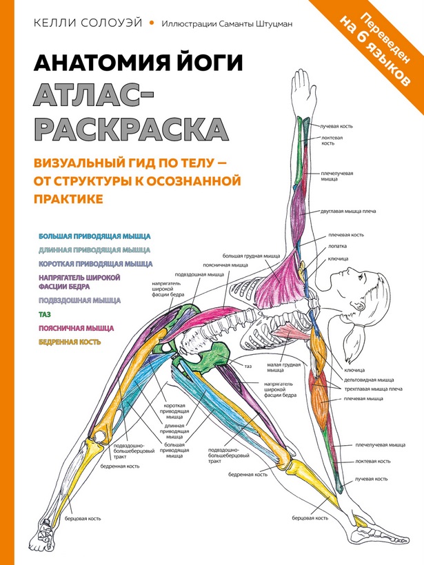Акція на Анатомия йоги: атлас-раскраска. Визуальный гид по телу — от структуры к осознанной практике від Book24