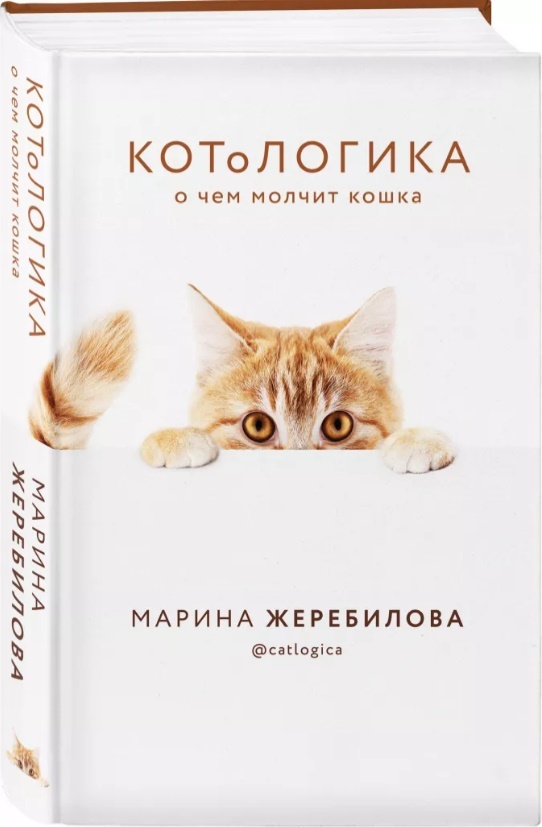 

КОТоЛОГИКА. О чем молчит кошка