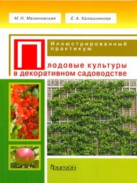 иллюстрированный практикум