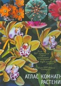 Гапон Виктор Николаевич