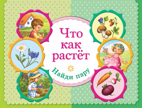 Мои первые уроки. Карточки на спирали (домик)