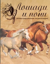 Рансфорд Санди