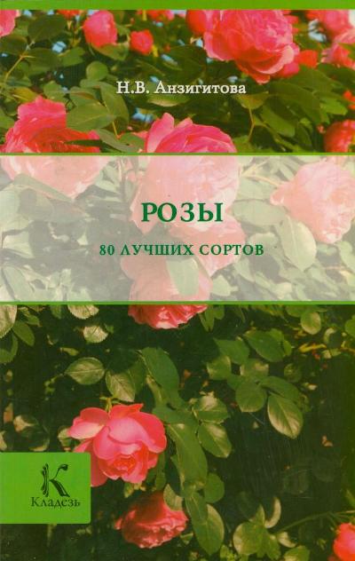 Анзигитова Наталья Валерьевна