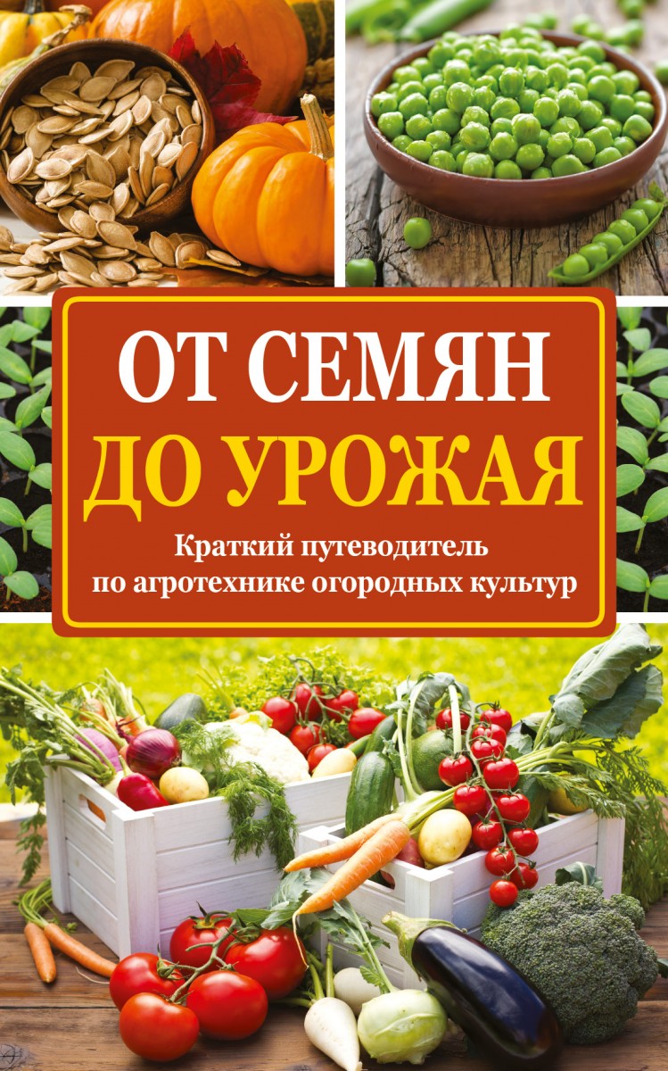 Каталог Семян Сад Магазин