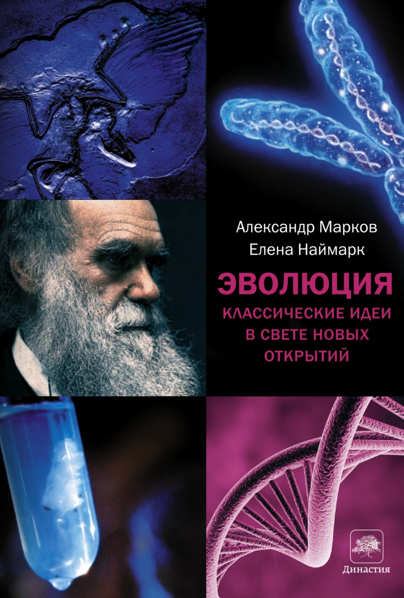 Наймарк Елена Борисовна