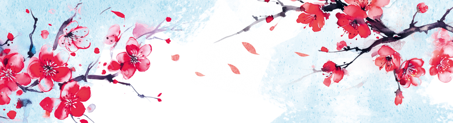 Книга Токійський дощ