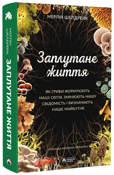 Книга Заплутане життя