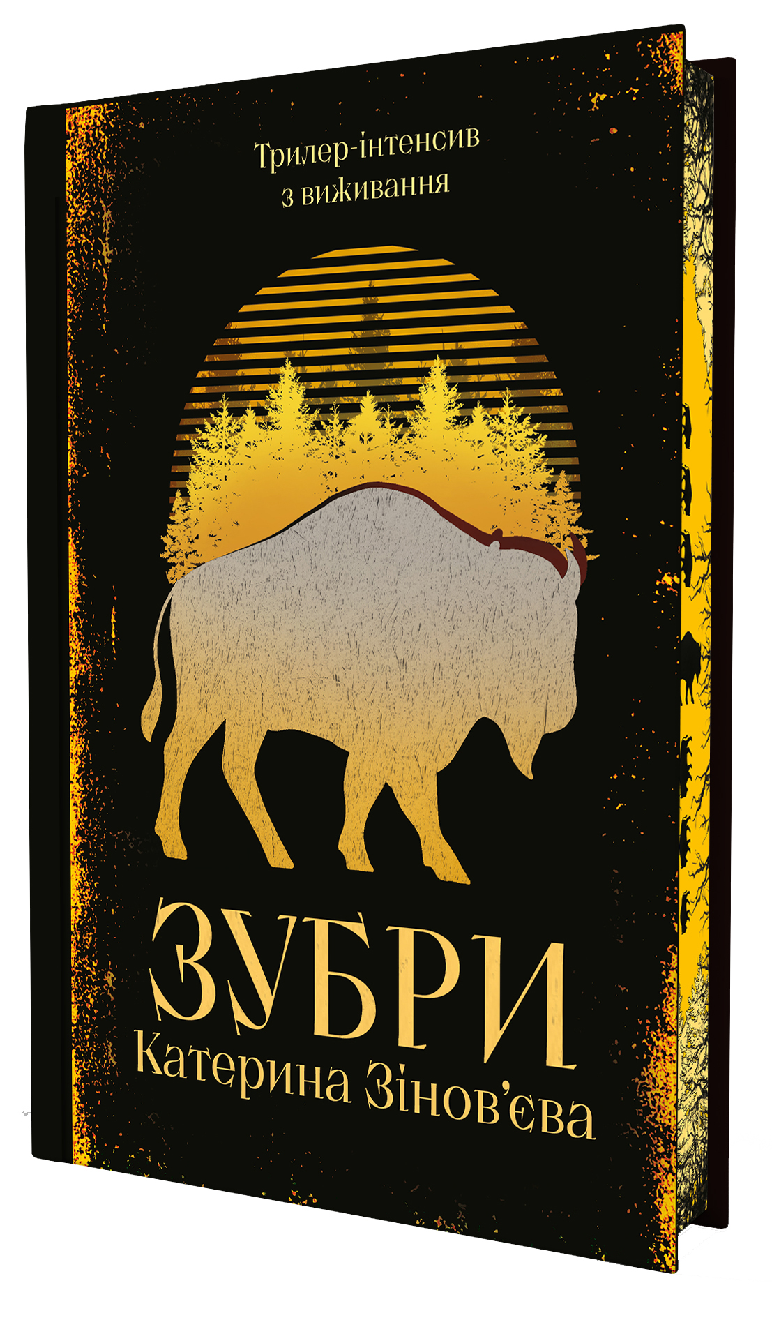 Книга Зубри