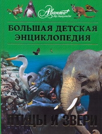 АВ.БолДетЭнц.