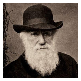 Чарлз Роберт Дарвін