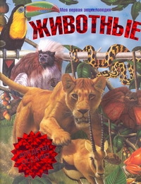 Райан Донал 