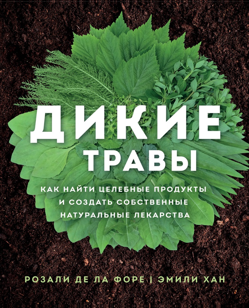 

Дикие травы: как найти целебные продукты и создать собственные натуральные лекарства