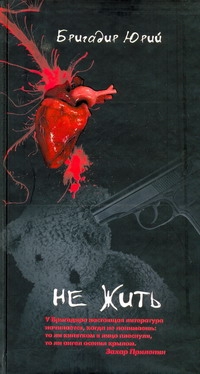 Бригадир Юрий