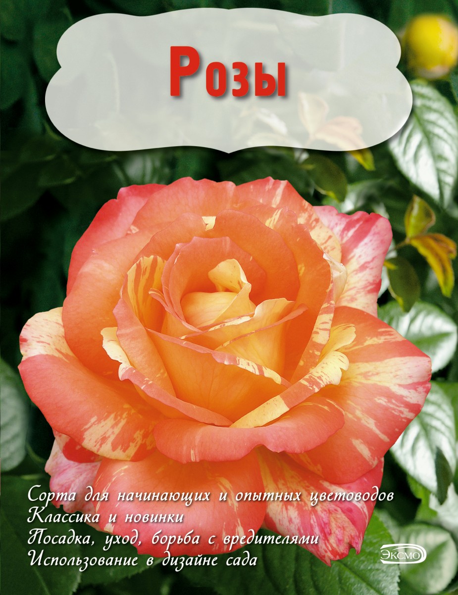 Писарев Евгений Аркадьевич