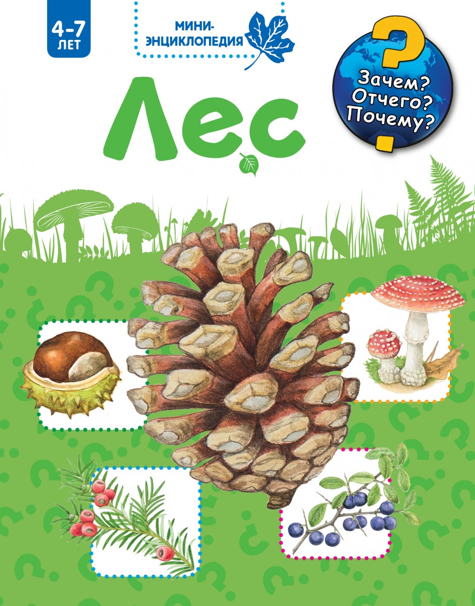 Хенкель Кристина