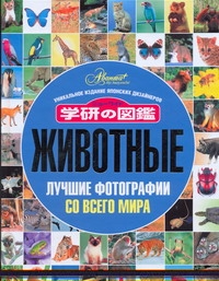 ЛучшиеФото японских дизайнеров.