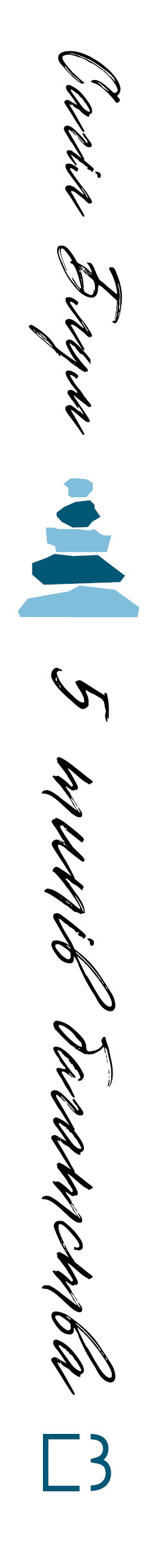 Книга 5 типів багатства. Трансформаційний путівник життям вашої мрії