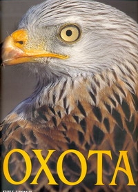 Блюхель Курт