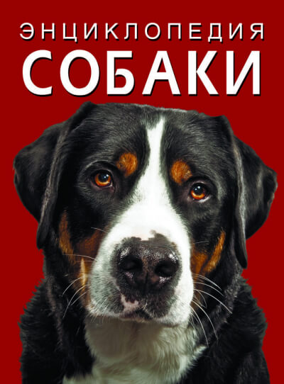 

Энциклопедия. Собаки