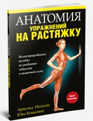 

Анатомия упражнений на растяжку