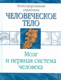 АнатомияЧелТела.