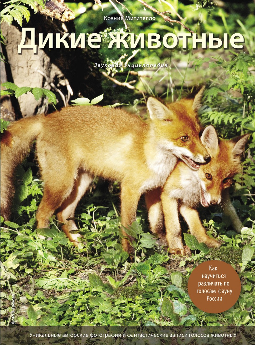 Митителло Ксения Борисовна