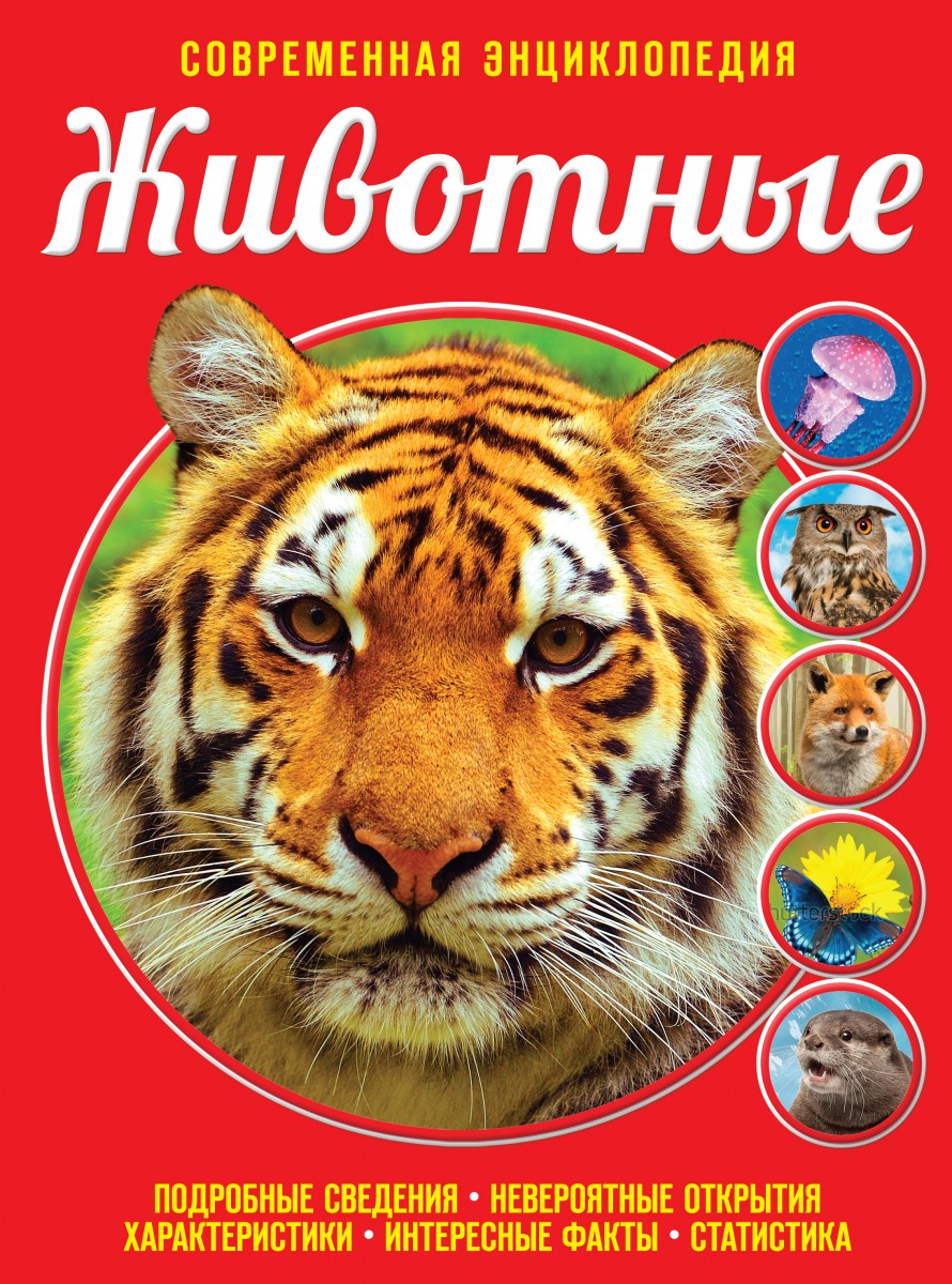 Ивинская Снежана Сергеевна