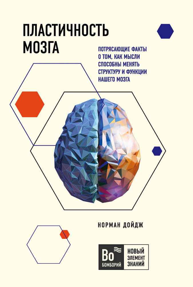 

Пластичность мозга. Потрясающие факты о том, как мысли способны менять структуру и функции нашего мозга