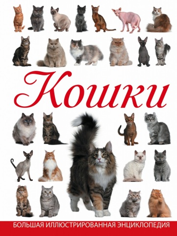 Большая иллюстрированная энциклопедия