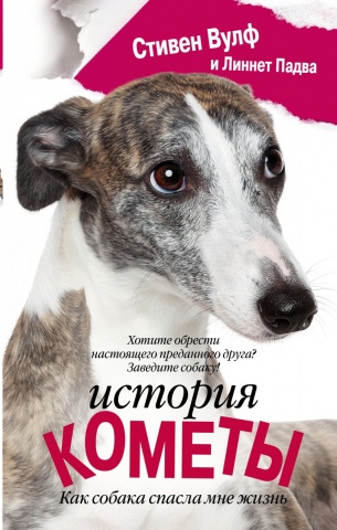 Кошки, собаки и их хозяева