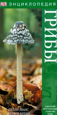 Эванс Шелли