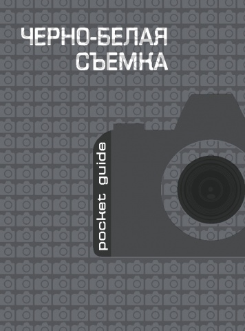 Мастер фотографии. Pocket guide (обложка)