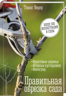 

Правильная обрезка сада. Фруктовые деревья, ягодные кустарники, виноград