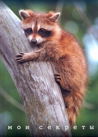 Моя анкета.