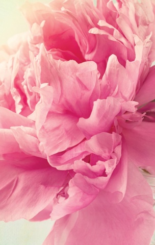 Дизайн Блокнот