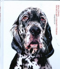 Вэсэн Гэнди