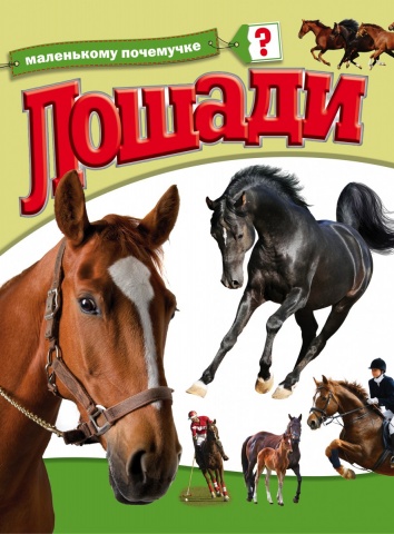 Маленькому почемучке