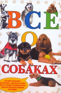 Де Вито Карло