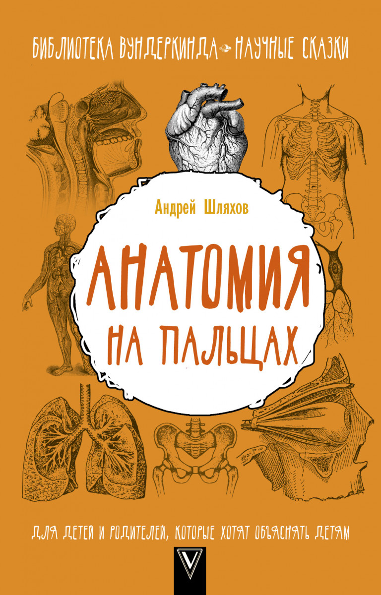 

Анатомия на пальцах. Для детей и родителей, которые хотят объяснять детям